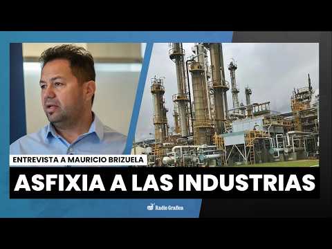 Pampa Energía cierra la única planta de caucho de Argentina | Mauricio Brizuela