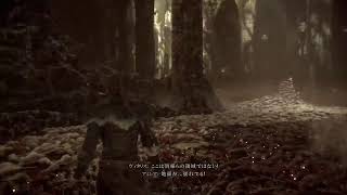 プレイグテイル　イノセンス　初見プレイ16