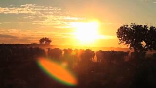 ESCOLA DAS ÁGUAS | TEASER