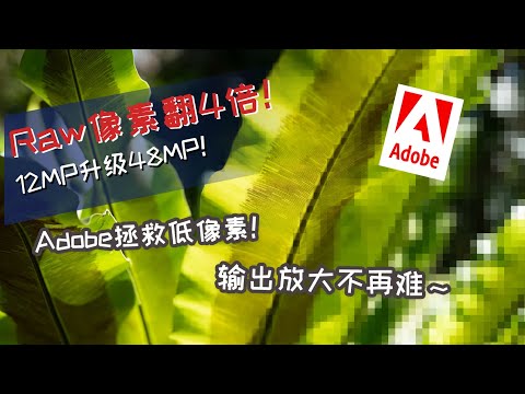 用A7S3拍摄4800万像素Raw照片可行吗？Adobe Camera Raw超分辨率画质实测！4800万像素超分辨率对比真4200万像素结果如何？A7SIII低像素有救了？[字幕]