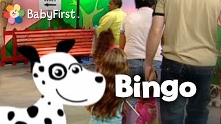 Bingo Kids Dance Song | Nursery Rhyme Songs with Actions for Babies & Toddlers