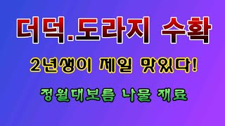 [텃밭농부 1,774]  2년생 더덕과 도라지 수확. #더덕재배 #도라지재배