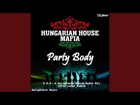 Party Body (feat. Leo Samuelle)