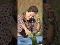 Mai Kya Karunga WHATSAPP STATUS FUNNY VIDEO Snack Video