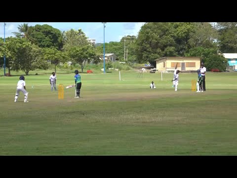 Wesley Hall into schools' cricket semis