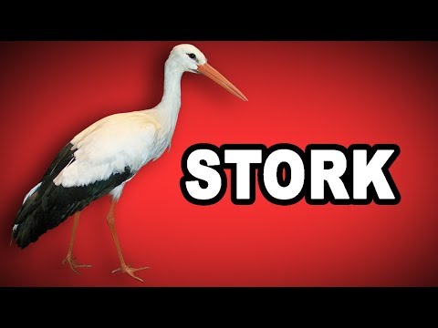 Learn English Words: STORK - Meaning, Vocabulary with Pictures and Examples