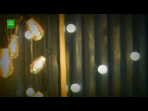 Maxim Zavidia - Take Control ( NTV Moldova)