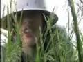 Crocodile Hunter Suburban Files