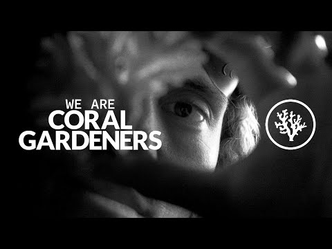 We Are Coral Gardeners - Film 2.0