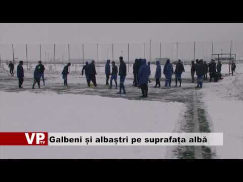 Galbeni și albaștri pe suprafața albă