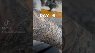 Download lagu My tattoo healing process from day 1 to day 12 🔥 mp3 Download lagu My tattoo healing process from day 1 to day 12 🔥 mp3
