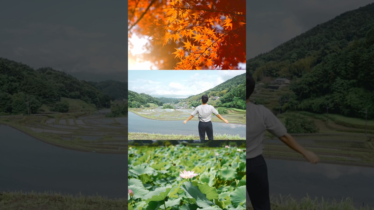 Spring returns, the year begins anew. 春が戻り年が新しく始まる🌱