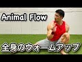 【全身のウォームアップ】Animal Flow エクササイズ！！