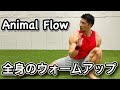 【全身のウォームアップ】Animal Flow エクササイズ!!