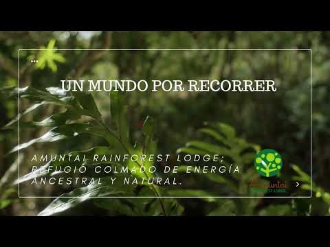 Un ecolodge rodeado de vida campestre