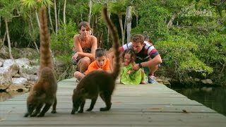 preview picture of video 'Life Is Now! (60 seg.) - Parque Xel-Há, acuario natural en la Riviera Maya'