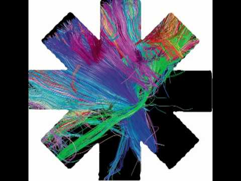 Muse Vs. RHCP - Panic Rain Dance Maggie