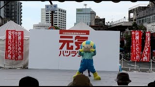 サンシャインミナモ