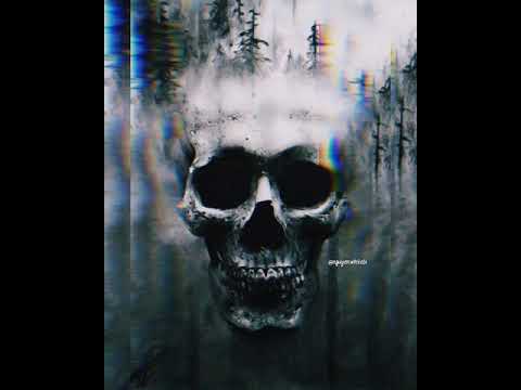 Giải Trí Chút -BlackBi