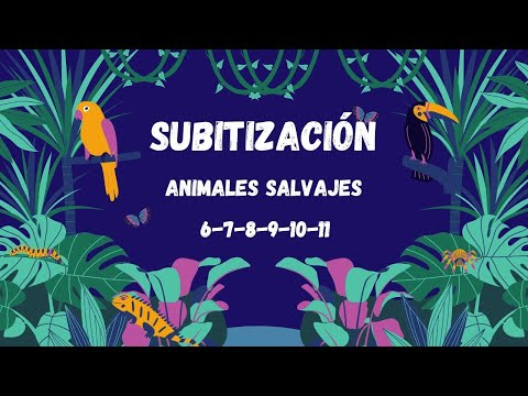 Subitización 6-11 elementos. Animales salvajes.