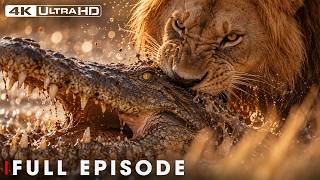 LION VS CROCODILE | Clash of the Titans | FULL EPISODE | Wildlife Documentary