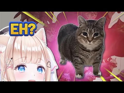 Peo Meets the OIIA Cat in Twisted Gallery