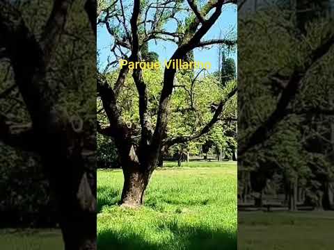 Zavalla Santa Fe Argentina #historia #turismo #viajar #paisaje