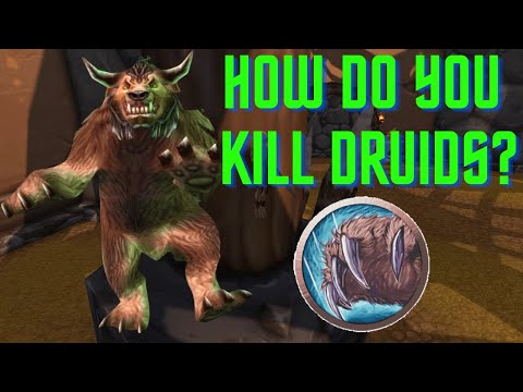 How to Kill Druids in TBC Arena