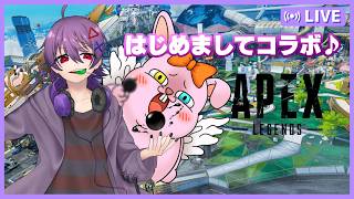【APEX/サシ】面白いゲラ見つけちゃった♪with野楽乃シキ【#Vtuber/かったん】