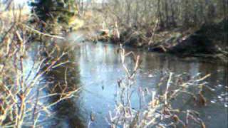 preview picture of video 'Brook Trout Fishing.'