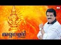 Ayyanayyan | Selected Ayyappa Devotional Songs | MG Sreekumar