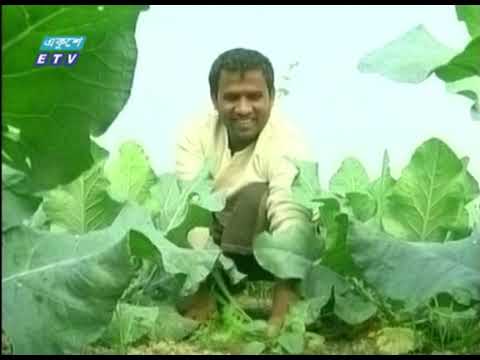 স্বাধীনতার ৫০ বছরে জাতির পিতার স্বপ্নযাত্রায় বাংলাদেশ | ETV News