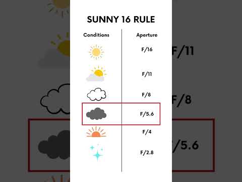 No light meter? Follow the Sunny 16 Rule