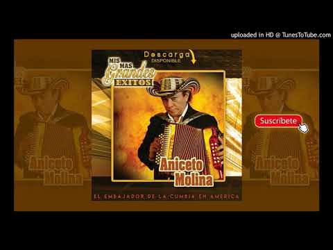 ANICETO MOLINA : La Zorra