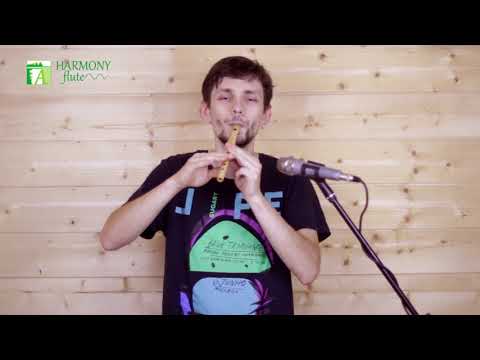 Irish flute Whistle - buy harmonyflute.com