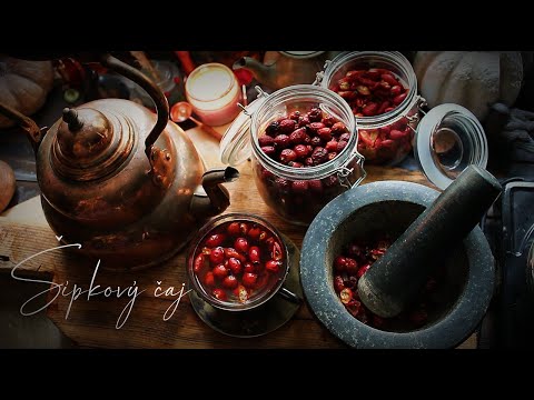 Šípkový čaj | Sušenie a príprava