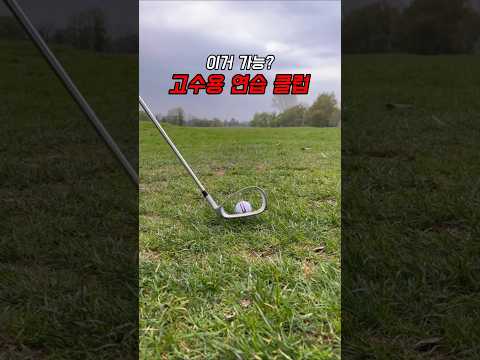 골프 고수용 연습클럽