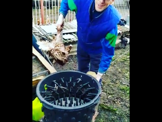 Тӗк ҫӑлатпӑр 15 ҫеккунтра