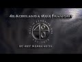40 Acres And A Mule Filmworks Disney 2012