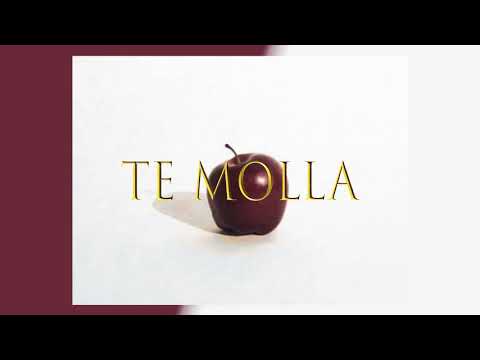 Te Molla (feat. Killua) - Arnon
