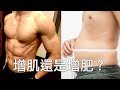 增肌還是增肥?避免在增肌增加太多體脂肪|How to bulk without getting fat?|增肌系列 EP31