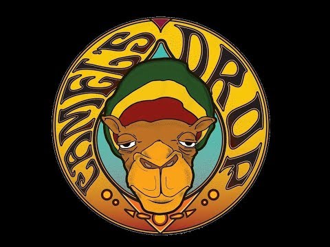 Camel's Drop - Realise (Lyrics Video)