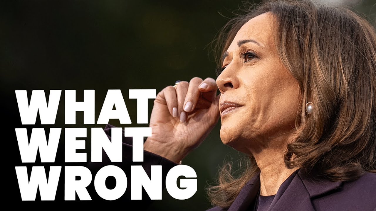 Kamala Harris's Democrat loss explained | The Story