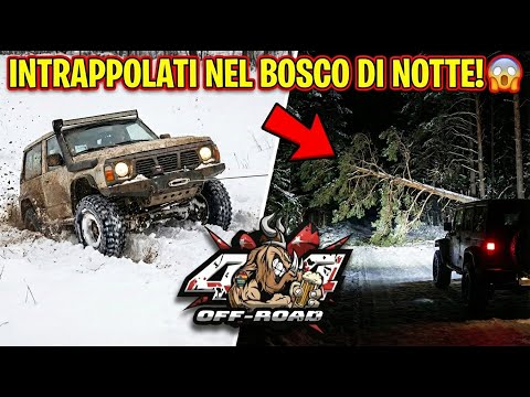 INTRAPPOLATI NEL BOSCO DI NOTTE! 😱 Un albero ci blocca la strada...