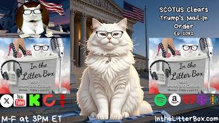 SCOTUS Clears Trump's Mail-In Order | In the Litter Box w/ Jewels & Catturd – Ep. 1082 – 8/25/2026