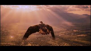 العملة السورية الجديدة.. هوية وطنية نمت من الأرض.#الليرة_الجديدة #سوريا_نحو_ال