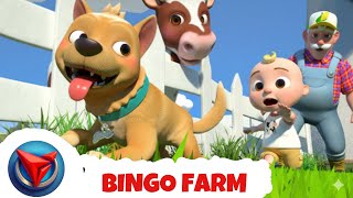 Bingo Farm Cartoon Video Cocomelan Style | Bingo English Rhymes #nurseryrhymes #poem #cocomelonstyle