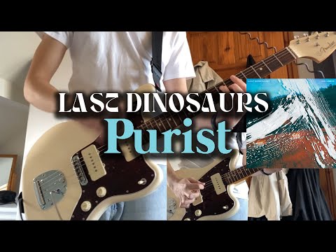 Purist (acoustic) - Last Dinosaurs