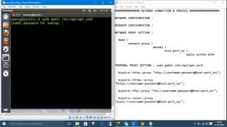 Linux Commands 11. Network & Terminal Proxy Setting