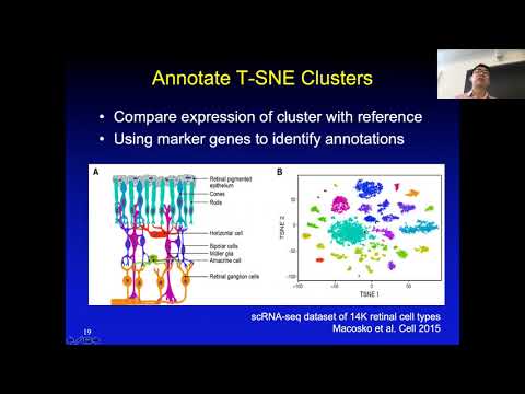 2019 STAT115 Lect8.3 Cluster and Annotate scRNA-seq